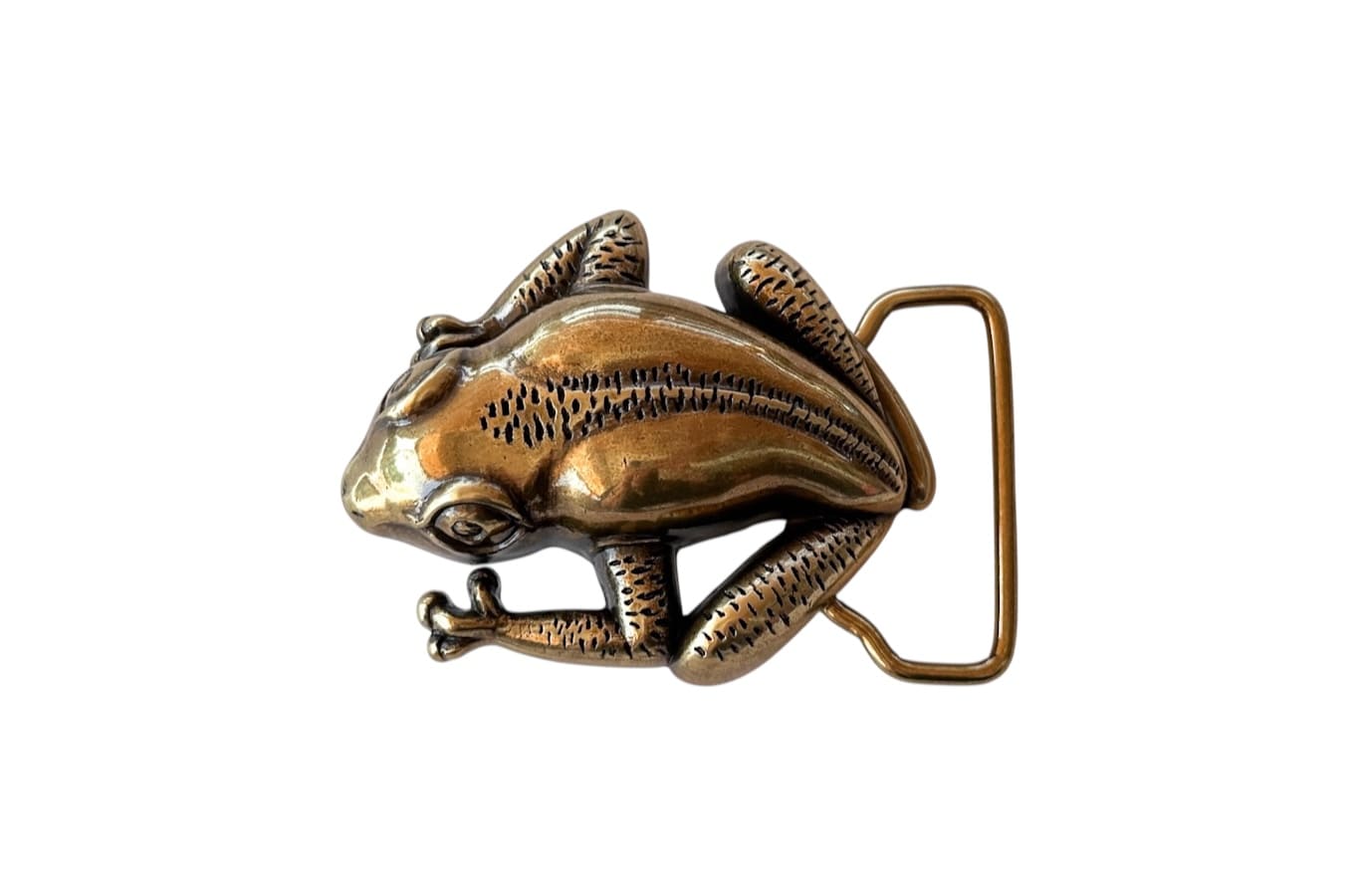 Hebilla Sapo