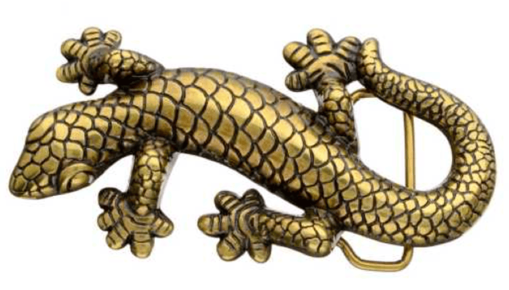 Salamandra.png