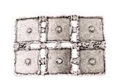Hebilla Nerea Plata - Strass