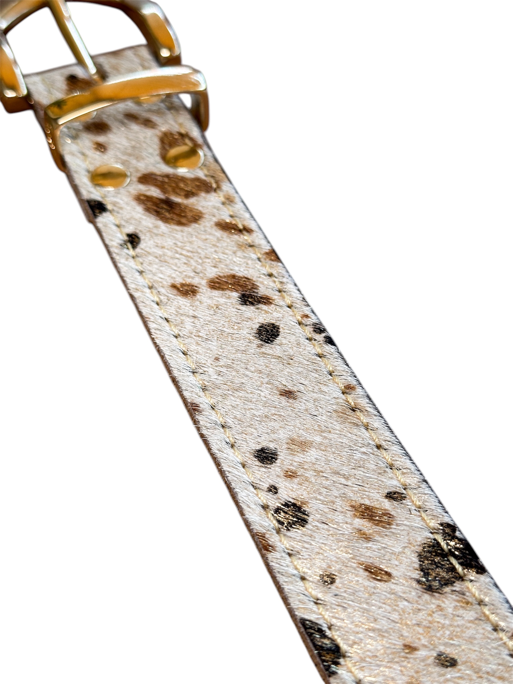 Photoroom_20260403_120545